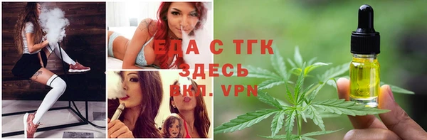 мдпв Богородск