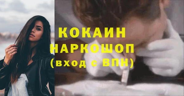 мдпв Богородск