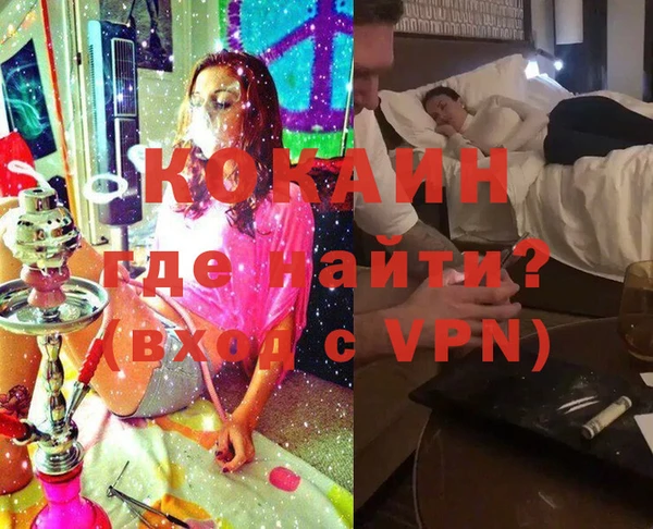 мдпв Богородск