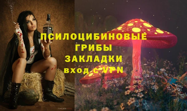 героин Богородицк