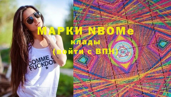 мдпв Богородск