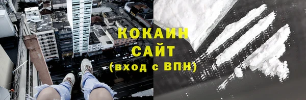 мдпв Богородск