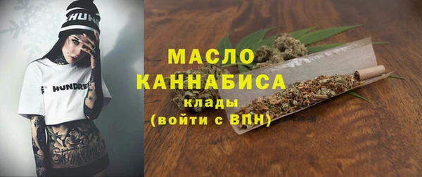 мдпв Богородск