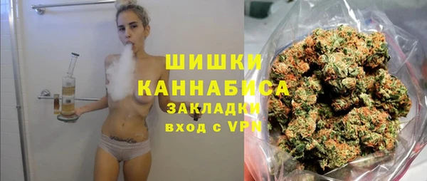 мдпв Богородск