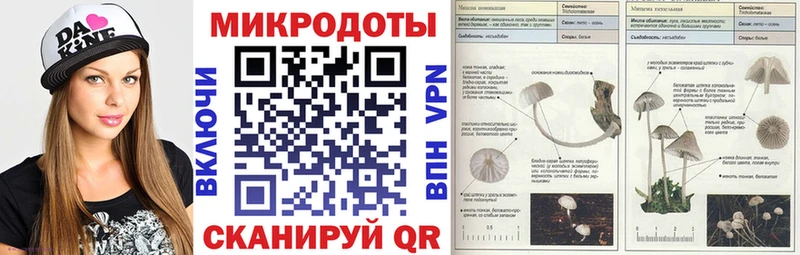 Псилоцибиновые грибы GOLDEN TEACHER  ссылка на мегу ONION  Наро-Фоминск  как найти закладки 